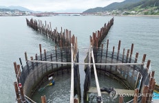 남해 지족해협 죽방렴 어업