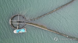 경남 남해군 지족해협 죽방렴