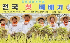 임금님표 이천쌀 전국 첫 벼 베기