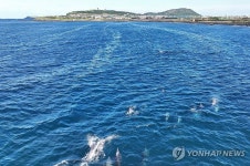 우영우 촬영지 제주 신도리를 남방큰돌고래 테마 마을로