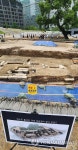덕수궁 흥덕전이 있던 곳입니다