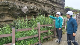 토사면 유실된 제주 수월봉 화산쇄설층 방문한 최응천 청장