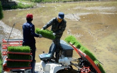 화천군, 고령·취약 농가에 드론 방제·영농대행 추진