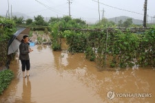 1년 농사 끝났네