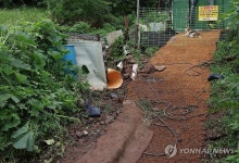 폭우에 숨진 60대 남성이 발견된 농로