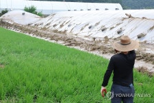 수마가 할퀴고 간 마을 바라보는 농부