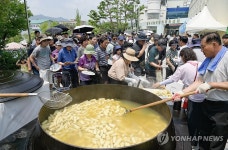 대형가마솥에서 쪄낸 찰옥수수