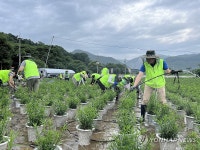 농협경제지주, 충남 금산서 집중호우 수해 복구 지원