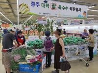 충주 옥수수 맛보세요 서울 하나로마트서 판촉 행사