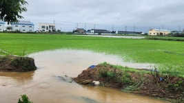 아산시 문방저수지 배수로 일부 유실·군계천 범람…접근 유의