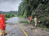 이틀간 최대 370.5㎜ 폭우에 쓰러지고 잠기고…강원서 피해 속출(종합2보)