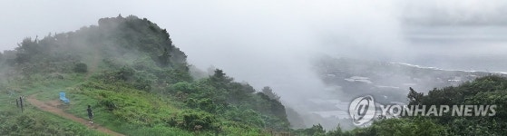 구름 위의 산책