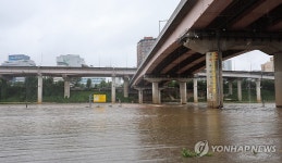 집중호우에 물 불어난 탄천