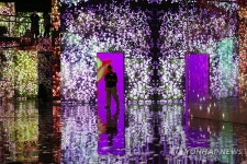 미디어아트의 진수