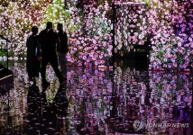 미디어아트의 진수