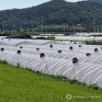 서울시, 귀농·귀촌 꿈꾸는 시민 위한 전원생활교육