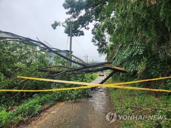 광주·전남 호우주의보 해제…이틀간 최고 93 내려