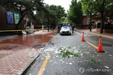 국립정동극장 인근에 떨어진 대남 쓰레기 풍선 내용물