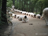 단기 출가 외국인 대학생들, 삼보일배