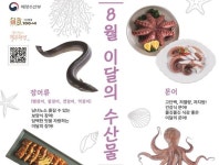 8월 수산물에 장어류·문어…여행지는 흘곶마을