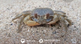 8월 수산물에 장어류·문어…여행지는 흘곶마을