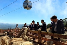 백두대간 배경 삼은 놀이터…하이원 구름 아래 동물농장 개장
