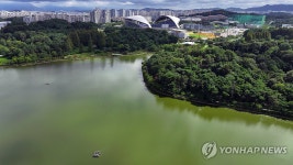광주 풍암호수에 확산하는 녹조