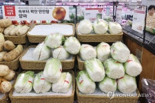 배추 할인 판매