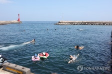 한적한 제주 포구에서 즐기는 물놀이