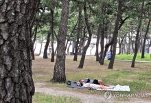 경포해변 송림에서 열대야 잊고 숙면