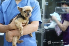 동물등록 자진신고 기간 운영