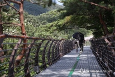 설악동 새 명물…속초 설악향기로 풍경