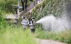 말라리아 감시해 증상 없거나 미미한 환자 136명 조기진단