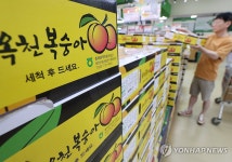 대형마트 여름 과일값 안정세