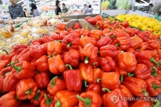 일주일 만에 30% 넘게 오른 파프리카