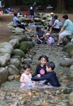 폭염 속 개울 숲 찾은 시민들