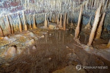 세계자연유산 제주 당처물동굴