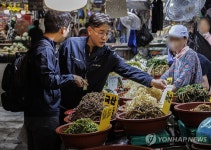 국산 맞나요?