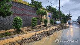 폭우로 옹벽에서 유출된 토사