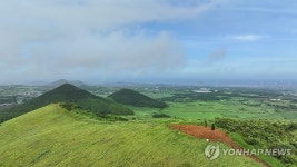 태풍이 지나간 뒤 새별오름
