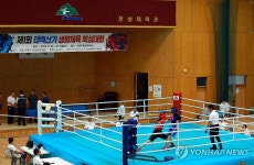 태백서 생활체육 복싱대회