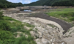 98.6%에서 29.1%로 뚝 떨어진 강릉 사천저수지