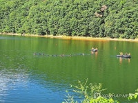 홍천 대룡저수지서 실종자 수색 작업 중인 소방