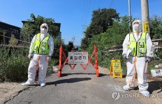 김포 양돈농장 아프리카돼지열병(ASF) 발생