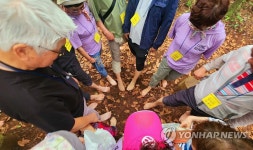 관광약자 등 모두를 위한 제주 여행상품 공모합니다
