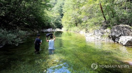 물길 따라 걷는 계곡 트레킹