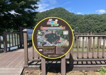 원주소풍길 새 단장…치악산둘레길·원주굽이길 이은 명품 숲길