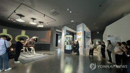 국립가야역사문화센터 전시실