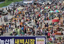 이른 아침부터 북적…강릉 농산물 새벽시장