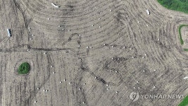 베일러 포장 건초가 만든 풍경